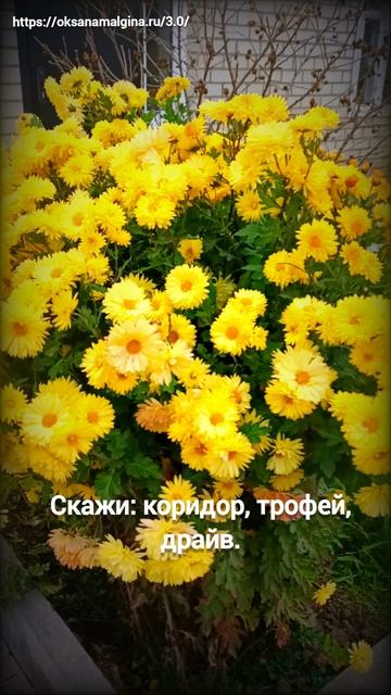 «Тест на картавость за три секунды.» смотреть онлайн