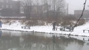 поимка форели на спиннинг