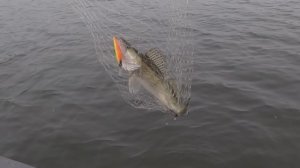 Осень 2025! (18) - Зима не торопится (1)!