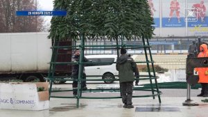 Праздник к нам приходит. В Воскресенске установили главную новогоднюю ёлку!