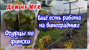 Дом на Юге. Работаю на винограднике. Мариную огурцы по фински.