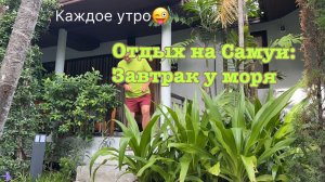 Каждое утро. Отдых на Самуи: завтрак у моря