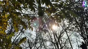 "Летучие бригады" продолжают поддерживать порядок на межквартальных территориях города