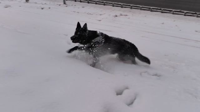 video5278231991777527627 смотреть онлайн