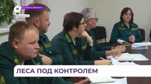 Министерство лесного хозяйства Приморья отчиталось о работе за 2025 год