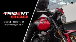 Triumph Trident 800: подробный обзор обновленного мотоцикла
