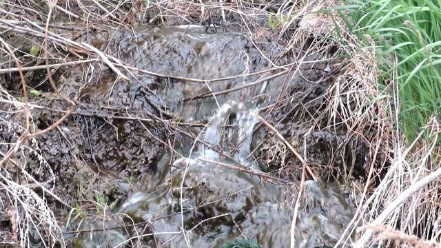 Деревни Северного Казахстана 2019: Новоишимка