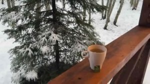 Дорога на Турбазу Ладога Хоум / Приозёрский р-он, Лен.обл...24.11.2025г.