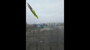 змеязавр идет аналоговый хоррор 1 серия