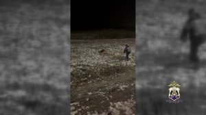 Новгородские полицейские помогли гражданам спасти собаку,замерзавшую в поле возле федеральной трассы