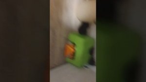 первая трансляция