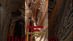 Устал я ребята жить один...