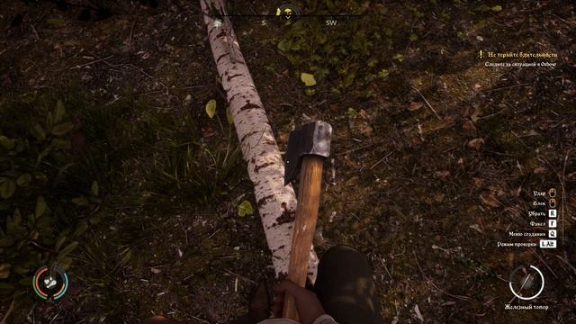 Medieval Dynasty #20 АМБАР