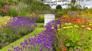 САДЫ БРИТАНИИ ЗНАМЕНИТЫЕ САДЫ ХОУТОН-ХОЛЛА: ВНУТРИ ЕГО ПОТРЯСАЮЩИХ ФОРМАЛЬНЫХ САДОВ 2025