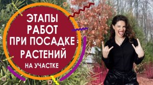 Итоги реализации кулисных насаждений