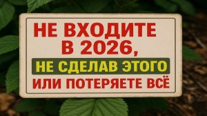 2026 год под знаком Красной Лошади: что нужно сделать в декабре, чтобы не потерять всё