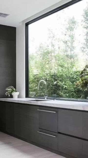 Плюсы и минусы мойки у окна #интерьер #интерьер #дизайнер #дизайнеринтерьера смотреть онлайн