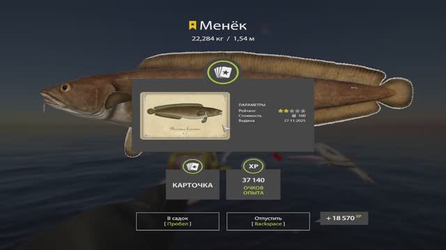 Русская Рыбалка 4. Норвежское море. 55-ая банка смотреть онлайн