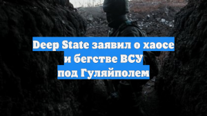 Deep State заявил о хаосе и бегстве ВСУ под Гуляйполем