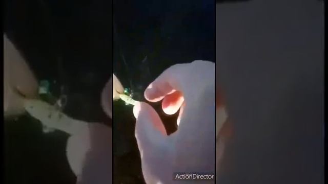 Ловля окуня по первому льду.