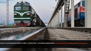 11 человек погибли и двое пострадали при наезде поезда в Китае