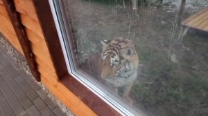 LYUD5831 Симочка Видео от Ивана 27.11.2025