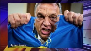 Тайная встреча с Путиным за спиной Европы   зачем Виктор Орбан летит в Москву