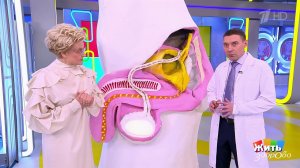 Варикоцеле у подростков: операция - спасение или перестраховка? Жить здорово! Фрагмент выпуска от...