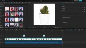 как я делаю эдиты?