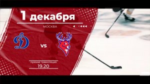 Матч КХЛ  "Динамо"(М) - "Торпедо": следите за игрой на телеканале "Нижний Новгород 24" и на "Маяке"