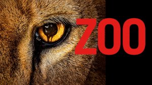 Сериал Зоо-апокалипсис / Zoo  —  1 сезон 2 серия