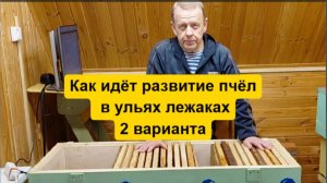 Способы развития пчёл для реализации метода пчеловодства в ульях-лежаках Якимова Владимирских