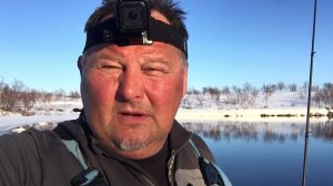 Уехали в ТУНДРУ. Налимов тьма. Закрываем сезон.