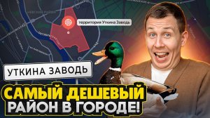 НЕ ЛУЧШЕ Мурино, но с городской пропиской / Большой обзор новостроек у Невы СПб: Уткина заводь