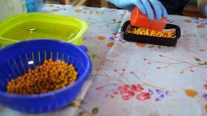 «Новое утро»: 30 ноября 2025 года