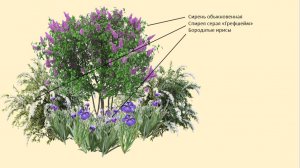 Ландшафтный дизайн