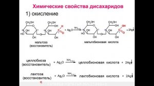 ЛЕКЦИЯ 6. ДИСАХАРИДЫ, ПОЛИСАХАРИДЫ