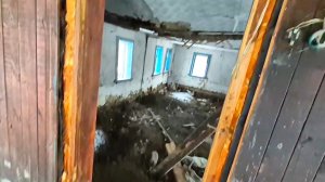 Нашла его весь в крови🥲Храмой и голодный.Простая жизнь,влог