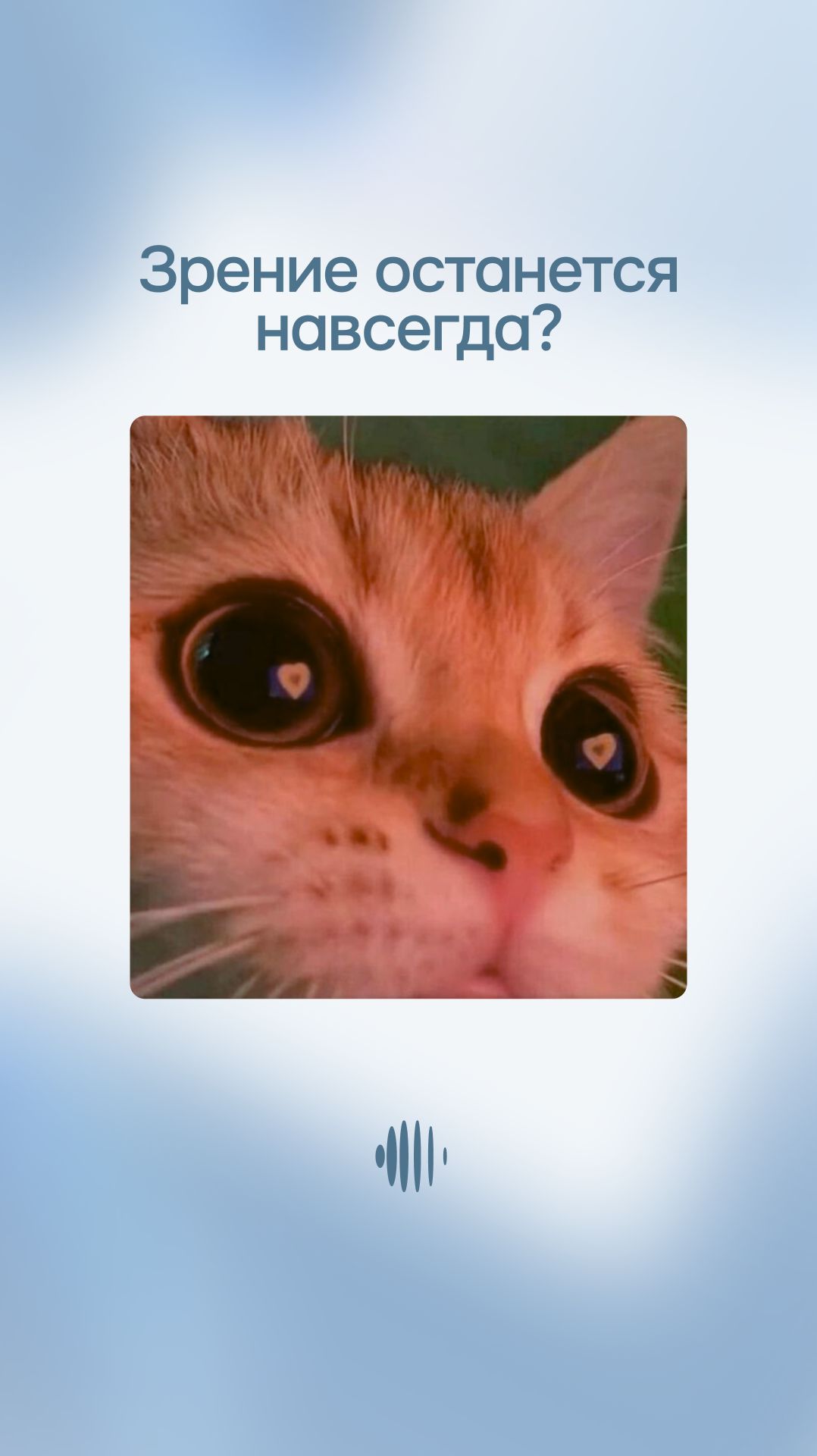 А вы даете гарантии?