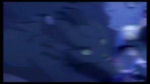 коты воители Эдит остролистный ( моя идея на всякий вешу это)