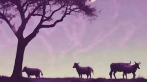 Меркнут знаки Зодиака. (1).