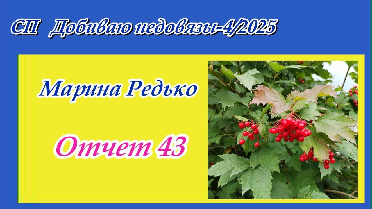 СП "Добиваю недовязы-4/2025" / Отчет 43 смотреть онлайн