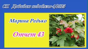 СП "Добиваю недовязы-4/2025" / Отчет 43