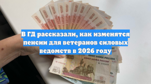 В ГД рассказали, как изменятся пенсии для ветеранов силовых ведомств в 2026 году
