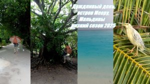 Прогулка в дождливый день, остров Мееру Мальдивы низкий сезон 2025 #мальдивы #мальдивы2025 #maldives