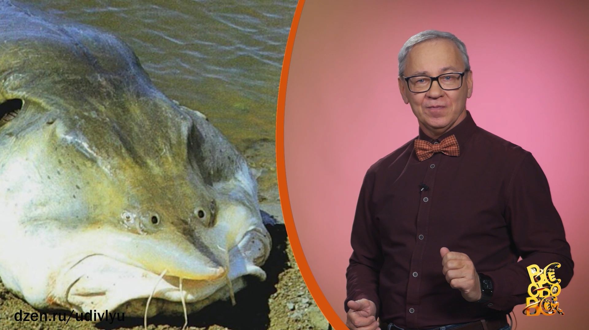 Всё обо всём. Калуга. Выпуск от 26.11.25