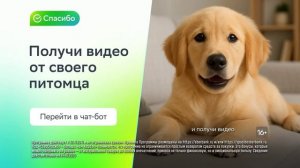 Спасибо, у меня лапки! Ролик 2