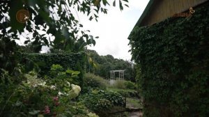 Мой большой проект. Анонс. Канал Загородный