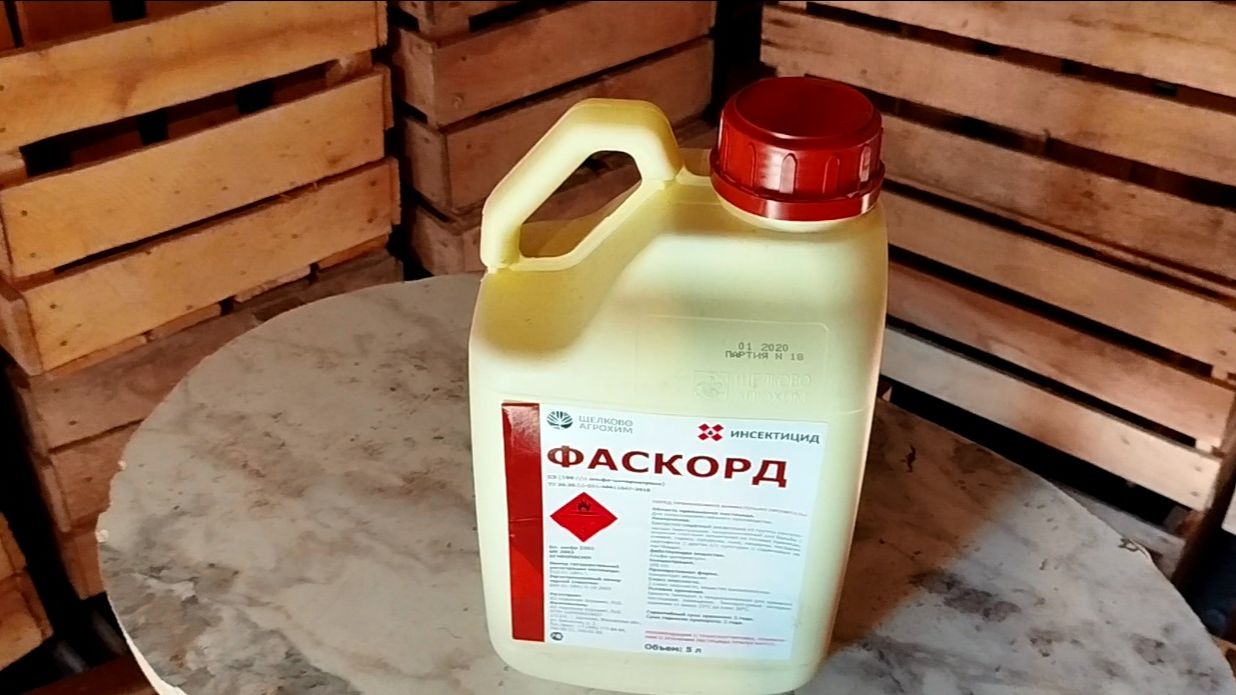 Фаскорд мощный препарат для мандарин