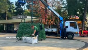 Космическую елку установили в парке «Ривьера» в Сочи